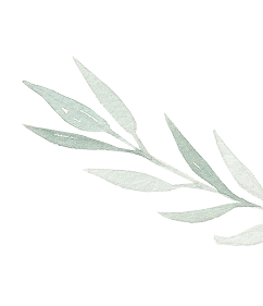 bottomleaf
